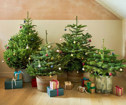 Christmas at Patch